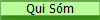 Qui S�m